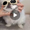 진리동물병원 이미지