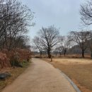 주식회사 모션센스