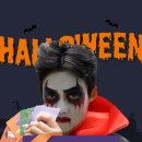 요미캣 고양이분양 일산점 | 일산고양이분양 강아지 입양 고민 미유펫에서 해결했어요