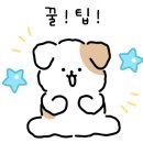 어몽트리그림공간