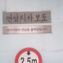 달미코코