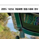 관음시장 | 강원도 양양 낙산사 가을여행 후기 템플스테이 정보