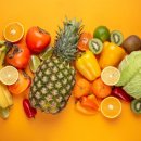 비타민 숲 이미지