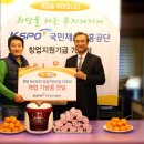 리스타트스포츠 이미지