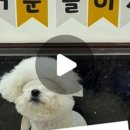 보들보들 유치원 이미지