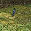 비온뒤햇살가득