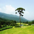 아델스코트CC 네이버블로그