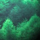 진성컴인 이미지