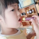 배순농장 네이버블로그