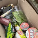 광주농협 로컬푸드직매장 동광주점 | 광주 망월동 감나무 캠핑장