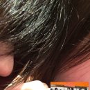 정상현농장 이미지