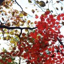 무릉계곡 힐링캠프장 이미지