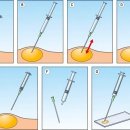 숲속동물병원 이미지