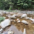 금낭화타운 이미지