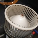 리얼크리닝 이미지