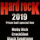홍대] Hard Rock 2019 이미지