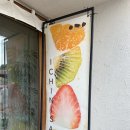 살구야 | 경주 황리단길 맛집 이치니산도 살구산도 웨이팅 후기