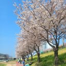 가곡체육공원 이미지