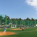 을숙도 리틀야구장 이미지