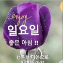 이쁜여우 - 중구 중앙대로 17 | 이쁜여우