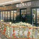 플레시피 이미지