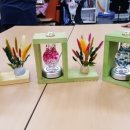 보성군 장애인 생활관 이미지