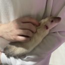 영만농장 이미지