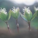 으뜸농원 이미지