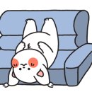 송이종합동물병원 이미지