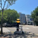 일삼칠 | 이디뚜뚜 TS로드 용인 유로휠 강남대점에서 오프라인 구매한 후기 (전기자전거vs전동킥보드vs이디뚜뚜)
