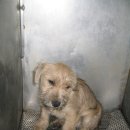 신영동물병원 이미지