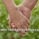 방문요양 서비스를 받으려면 어떻게 해야 하나요? 이미지