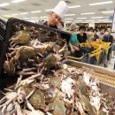 서해안마트 이미지