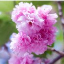 김해율하 시티프라디움 이미지