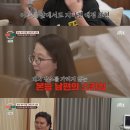 캠프밤 스타뉴스