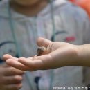 동심어린이집 이미지