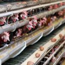 관청농장 이미지