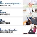등 허리통증 요통 완화방법 허리 마사지 이미지