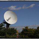 글로벌스타 이미지