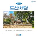 김밥나라 도산2호점 | 시간의 결을 품은 ‘고창 도산서당, 만수당’, 오래된 학당에서 가을을 만나다.