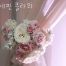 조세핀플라워