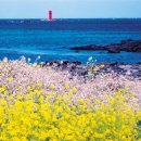 제주도가 이미지