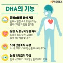 콜레스테롤 식단 음식으로 HDL 수치 정상범위로 높인 후기