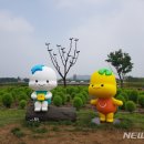 토로