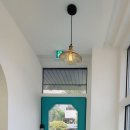 모모애견샵 이미지