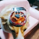 몽스토랑 이미지