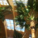 테마사우나 이미지