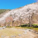 만수산자연휴양림 충남일보