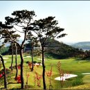 윈체스트컨트리클럽 서산 이미지