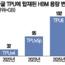 GPU여도 행복, TPU여도 기쁨…결국 웃는 삼성전자·하이닉스 이미지
